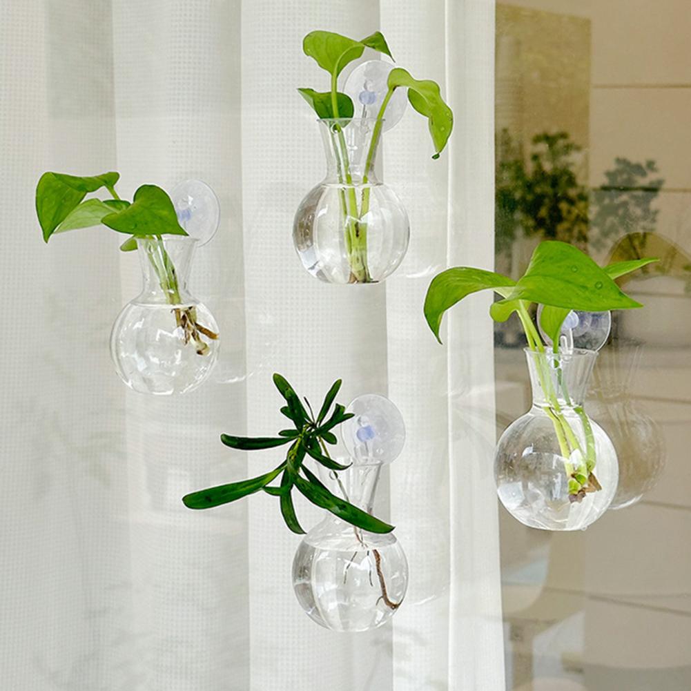 Propagation Station Vase - 1/2/3/4/6/8 Stück Pflanzenvermehrungsgläser mit Saugnapf Transparente
