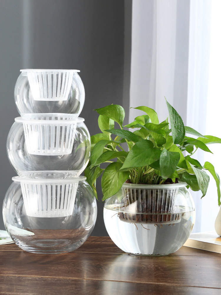 Propagation Station Vase - Hydroponische Glasvase, Grüne Dill-Blumenvase, Vermehrungsstationen für