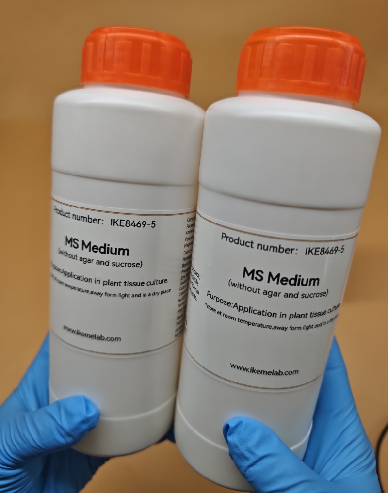 IKEME 250g Lab MS Medium ohne  – Agar Tissue Culture Bewertung und Preis