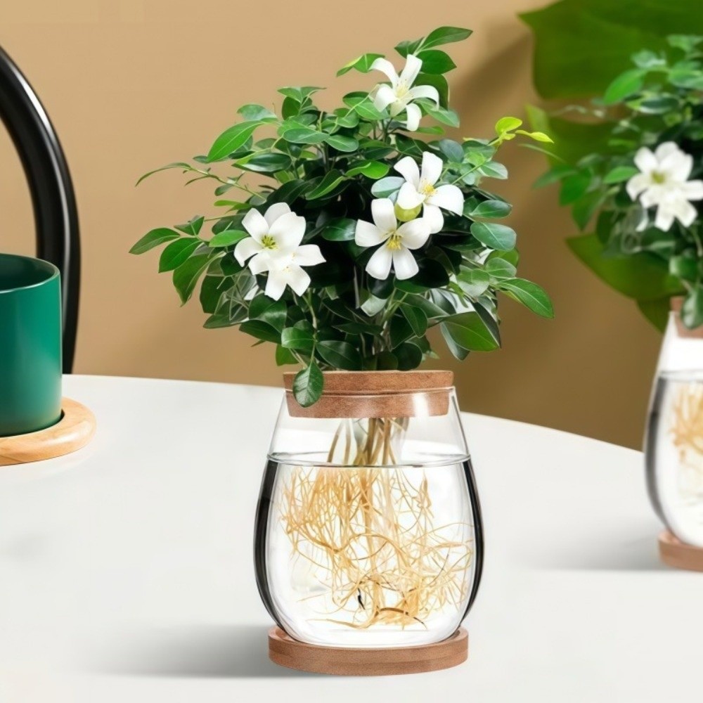 Transparenter Hydroponischer B – Propagation Station Vase Bewertung und Preis