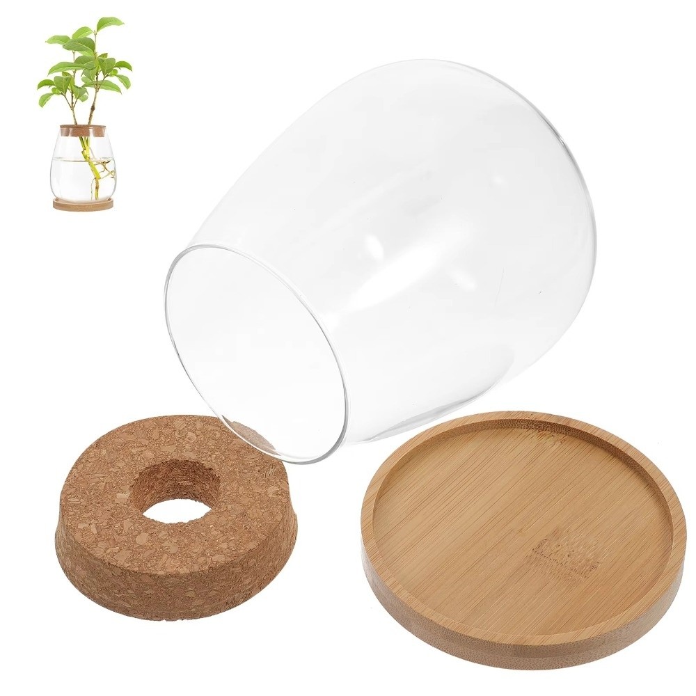 Transparenter Hydroponischer B – Propagation Station Vase Bewertung und Preis