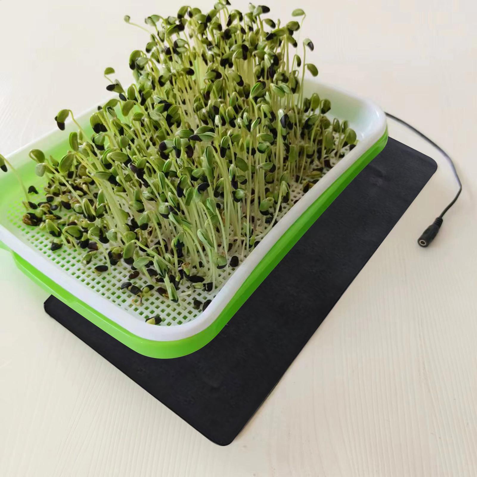 8,5W USB-Keimlingsheizmatten m – Heat Mat Seedling Bewertung und Preis