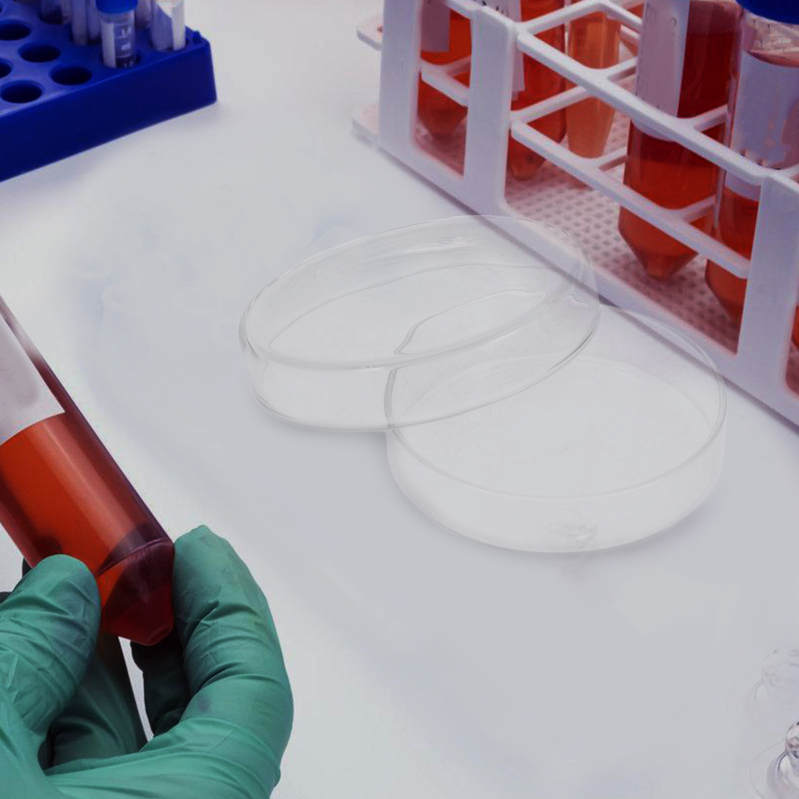 Petrischale aus hochborosilika – Agar Tissue Culture Bewertung und Preis