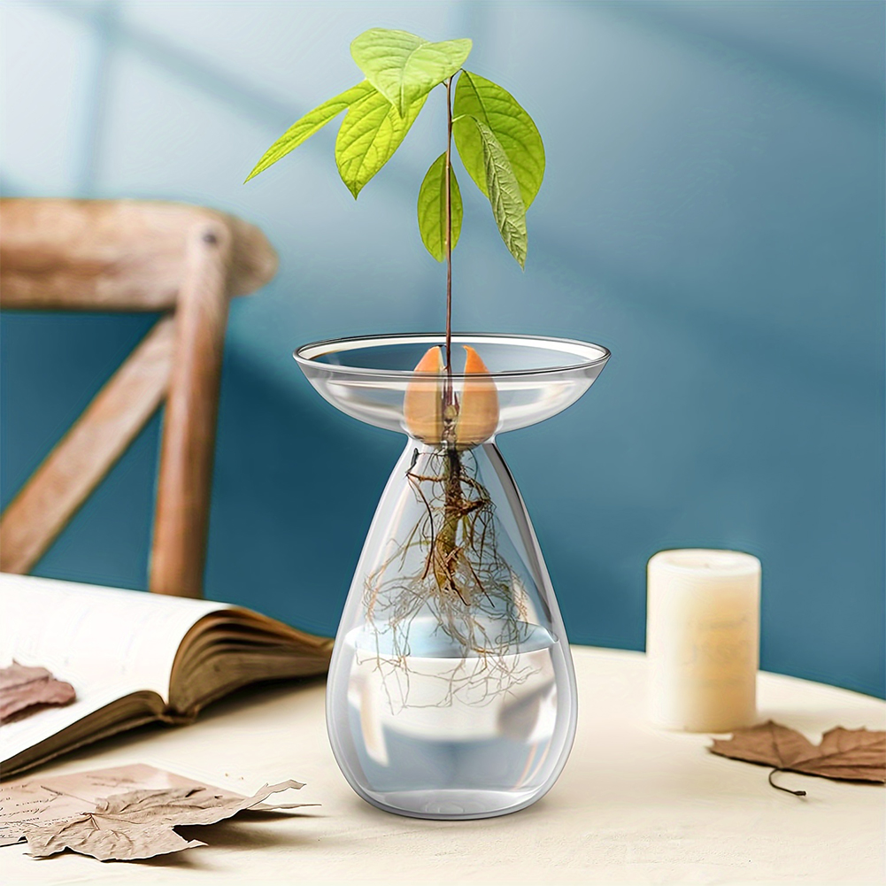 Avocado-Samen-Startbehälter Hy – Propagation Station Vase Bewertung und Preis