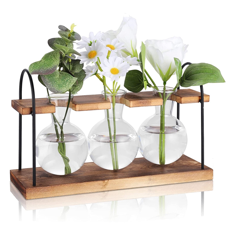 Pflanzenvermehrungsstation mit – Propagation Station Vase Bewertung und Preis