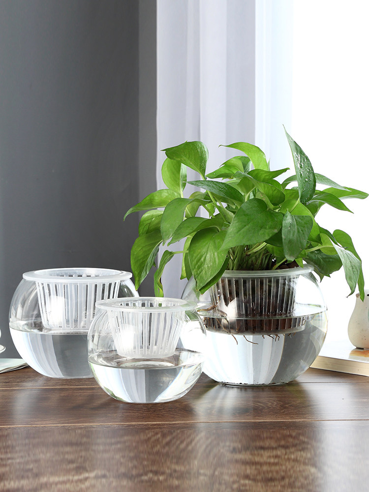 Hydroponische Glasvase, Grüne  – Propagation Station Vase Bewertung und Preis