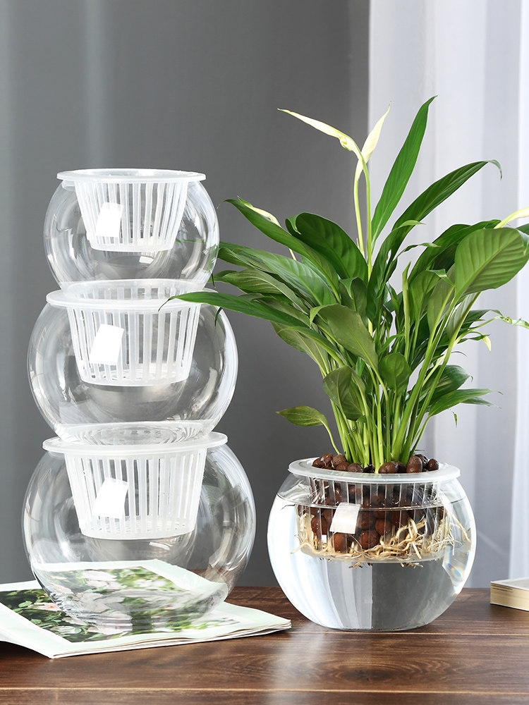 Hydroponische Glasvase, Grüne  – Propagation Station Vase Bewertung und Preis
